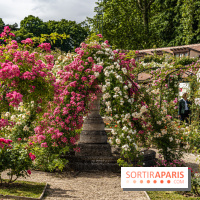Photos : La Roseraie du val-de-Marne