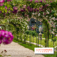 Photos : La Roseraie du val-de-Marne