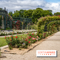 Photos : La Roseraie du val-de-Marne
