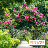 Photos : La Roseraie du val-de-Marne