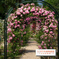 Photos : La Roseraie du val-de-Marne