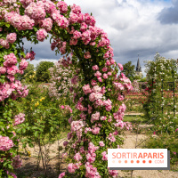 Photos : La Roseraie du val-de-Marne