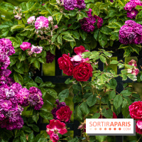 Photos : La Roseraie du val-de-Marne