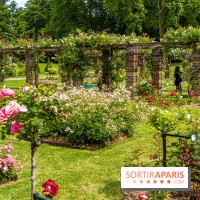 La Roseraie du Parc Lebaudy sur l'Ile de Puteaux