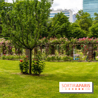 La Roseraie du Parc Lebaudy sur l'Ile de Puteaux
