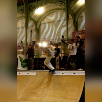 Quiksilver présente le Tony Hawk Show au Grand Palais