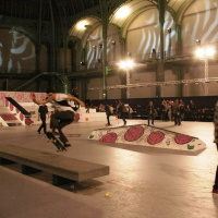 Quiksilver présente le Tony Hawk Show au Grand Palais