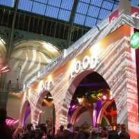 Quiksilver présente le Tony Hawk Show au Grand Palais