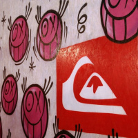 Quiksilver présente le Tony Hawk Show au Grand Palais