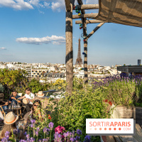 La terrasse en Rooftop du Brach, le bar perché dans un jardin potager -  A7C7744