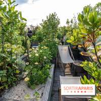 La terrasse en Rooftop du Brach, le bar perché dans un jardin potager -  A7C7699