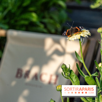 La terrasse en Rooftop du Brach, le bar perché dans un jardin potager -  A7C7692
