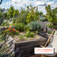 Photos : Le Rooftop du Brach