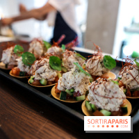 HOBA à Paris, nos photos