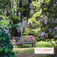 Arboretum de la Vallée-aux-Loups, une balade au milieu des arbres remarquables - A7C07813