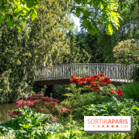 Arboretum de la Vallée-aux-Loups, une balade au milieu des arbres remarquables - A7C07780