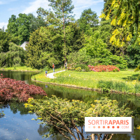 Arboretum de la Vallée-aux-Loups, une balade au milieu des arbres remarquables - A7C07783