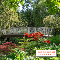 Arboretum de la Vallée-aux-Loups, une balade au milieu des arbres remarquables - A7C07779