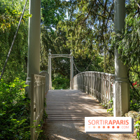 Arboretum de la Vallée-aux-Loups, une balade au milieu des arbres remarquables - A7C07766