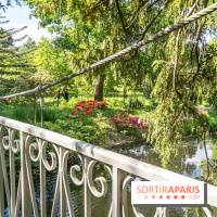 Arboretum de la Vallée-aux-Loups, une balade au milieu des arbres remarquables - A7C07767