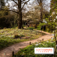 Arboretum de la Vallée-aux-Loups, une balade au milieu des arbres remarquables