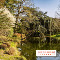 Arboretum de la Vallée-aux-Loups, une balade au milieu des arbres remarquables - A7C09394