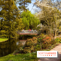 Arboretum de la Vallée-aux-Loups, une balade au milieu des arbres remarquables - A7C09395