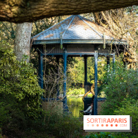 Arboretum de la Vallée-aux-Loups, une balade au milieu des arbres remarquables - A7C09401