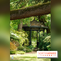 Arboretum de la Vallée-aux-Loups, une balade au milieu des arbres remarquables