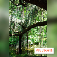 Arboretum de la Vallée-aux-Loups, une balade au milieu des arbres remarquables