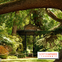 Arboretum de la Vallée-aux-Loups, une balade au milieu des arbres remarquables
