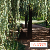Arboretum de la Vallée-aux-Loups, une balade au milieu des arbres remarquables