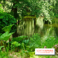 Arboretum de la Vallée-aux-Loups, une balade au milieu des arbres remarquables