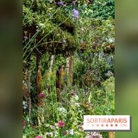 Jardins jardin aux Tuileries 2022