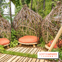 Jardins jardin aux Tuileries 2022