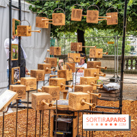 Jardins jardin aux Tuileries 2022