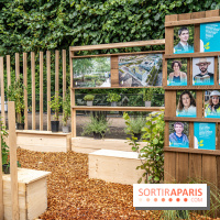 Jardins jardin aux Tuileries 2022