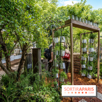 Jardins jardin aux Tuileries 2022