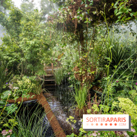 Jardins jardin aux Tuileries 2022