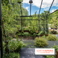 Jardins jardin aux Tuileries 2022