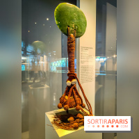 Pouvoir et prestige, art des massues du Pacifique : l'exposition du musée du Quai Branly, nos photos
