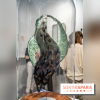 Le salon Révélations 2022, les photos 