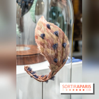 Le salon Révélations 2022, les photos 