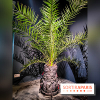 Faut-il voyager pour être heureux ?, l'exposition dépaysante de l'Espace Fondation EDF - nos photos