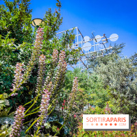 Le Musée de la Sculpture en plein air : une balade artistique gratuite au cœur de Paris