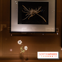 Exposition Végétal  by Chaumet aux Beaux Arts de Paris