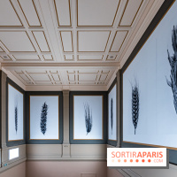 Exposition Végétal  by Chaumet aux Beaux Arts de Paris