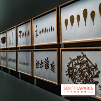 Exposition Végétal  by Chaumet aux Beaux Arts de Paris