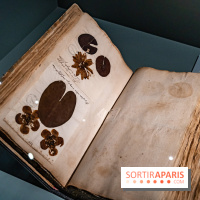 Exposition Végétal  by Chaumet aux Beaux Arts de Paris