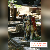 Le cimetière canin à Asnières-sur-Seine